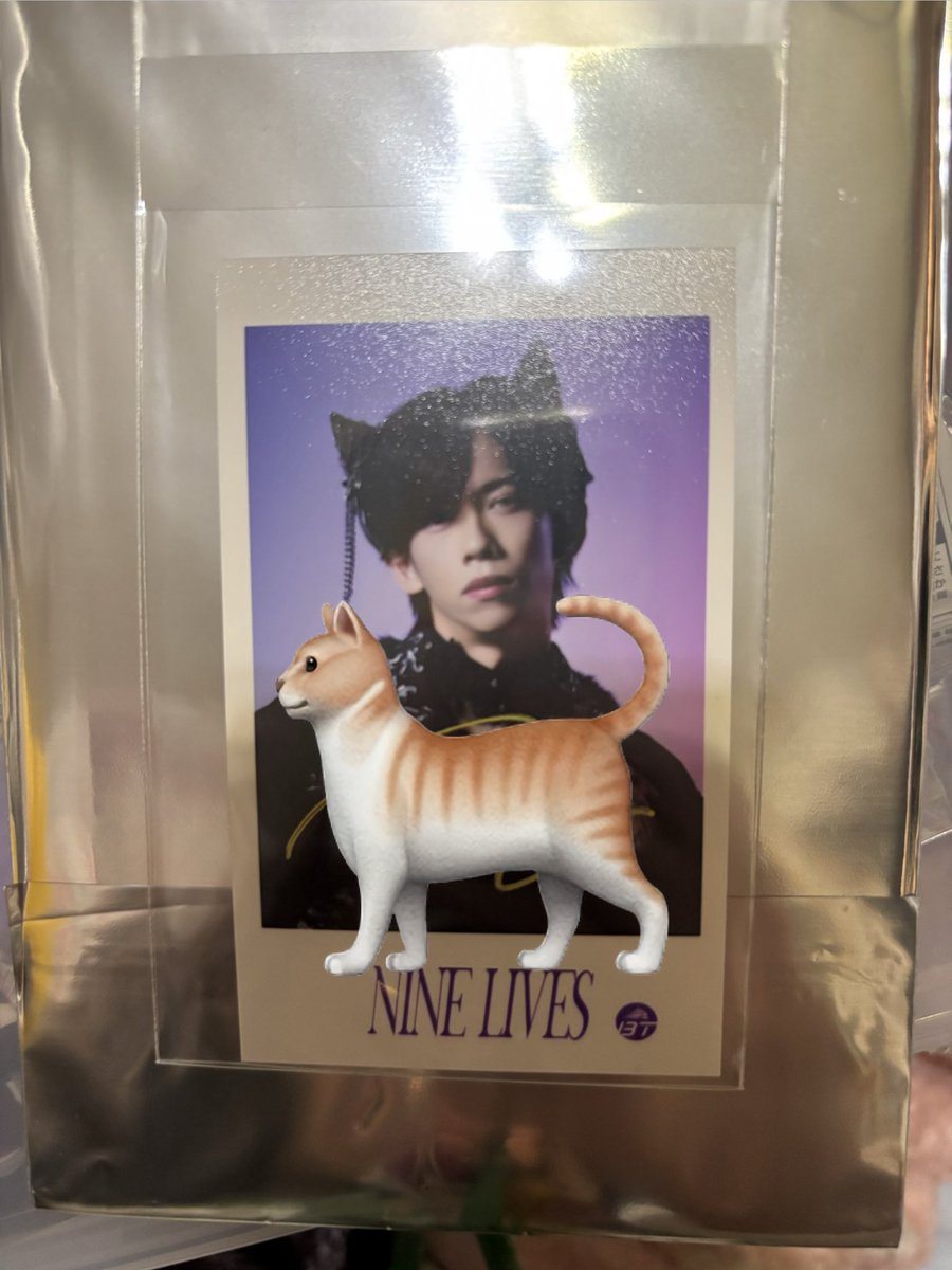 超特急 タクヤ ミニフォト 直筆サイン入り REAL? NINE LIVES 超特急の