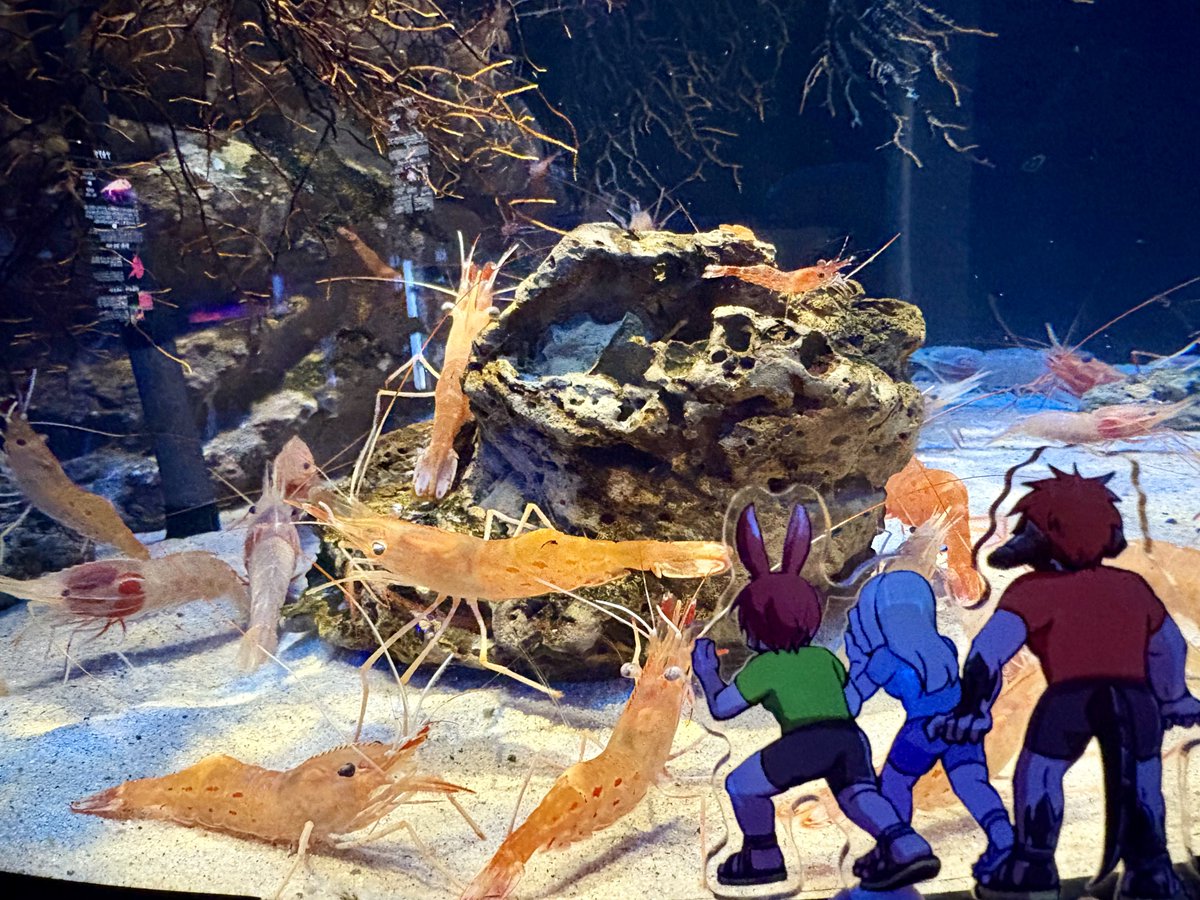 「チコ@プロフ必読」 DUNLOP ZXi5 アイアン NSPRO MODUS3 TOUR105スチールシャフト 5本