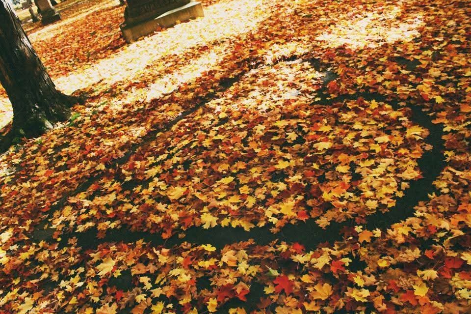 aydata3's tweet image. ～

Kasımın son mısralarındayız.
Günlerden ne bilmiyorum.
Ama ben bugün de seviyorum seni.

Cemal Süreya