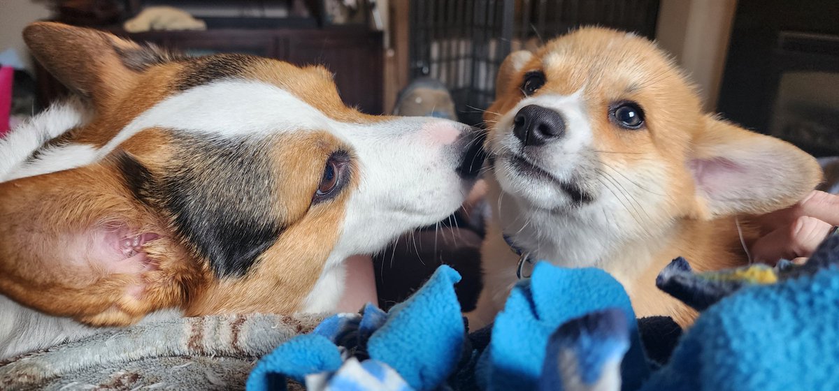 Patty Stephens tweet media