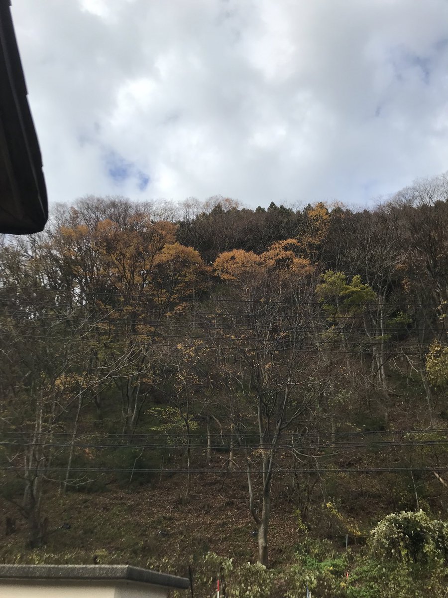 FeelingPay's tweet image. 秋田からの帰り道、日東道走ってる限りは延々に食事しようがないので、高速の切れ目県境のラーメン屋さんに。
13時になろうかって時間でしたが、めっちゃ並んでた！待ち時間に眺めていた山、ここからも最近はクマが下りてきてるらしいです🐻