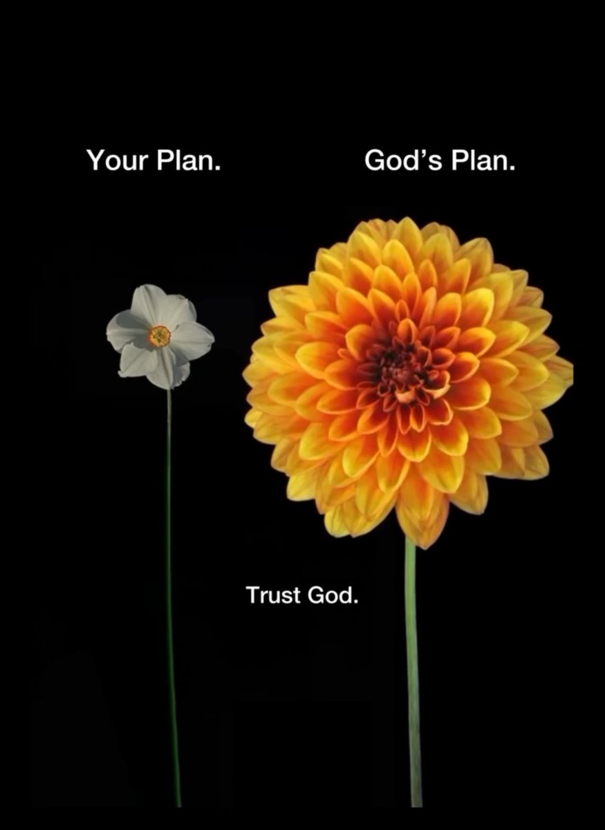 LumenX_'s tweet image. God&apos;s plan, Alwayyyyyyys.