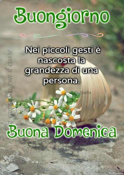 Marianna tweet media