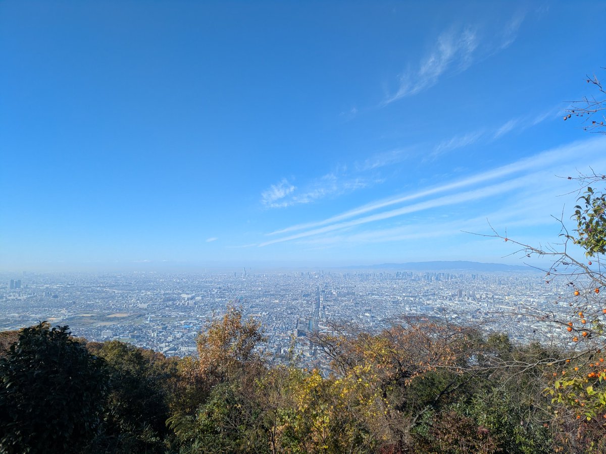 Engine172H's tweet photo. 生駒山トレッキング　この時期でもほとんど紅葉🍁してない https://t.co/GzoVFuE7sx
