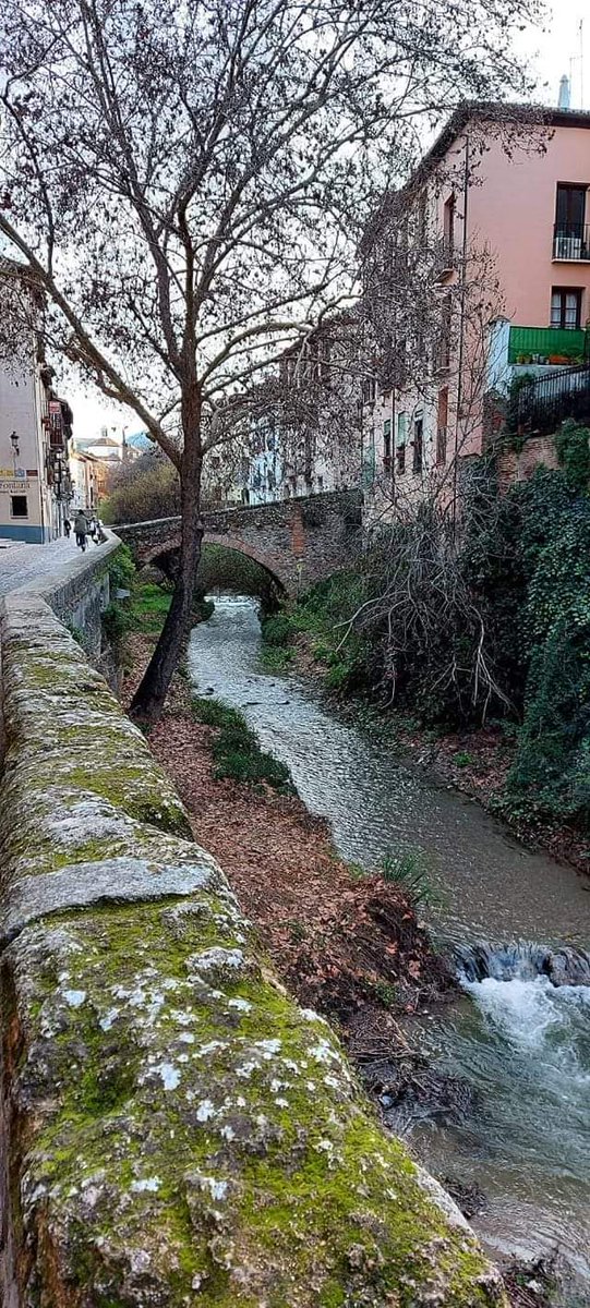 "Por el agua de Granada, sólo reman los suspiros."

- Federico García Lorca