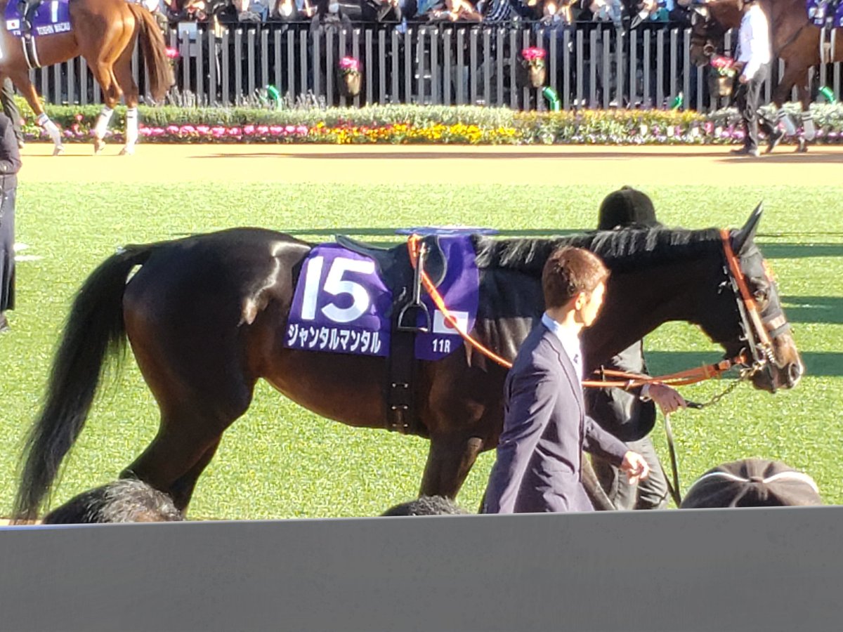 俺の答えはこれや！！