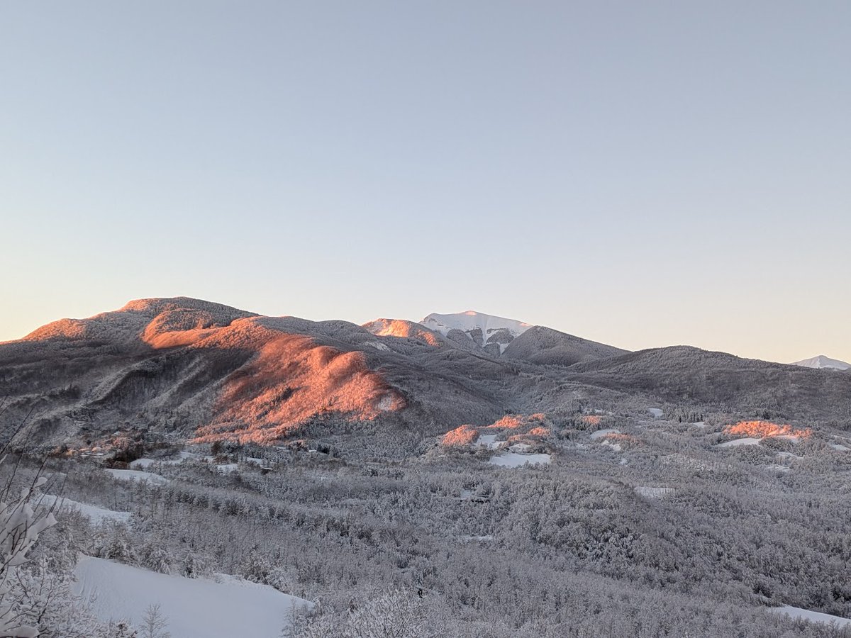 My wife doesn't like snow because of all the shovelling, icy roads, etc., but it surely makes the landscape prettier. View from my window 😍