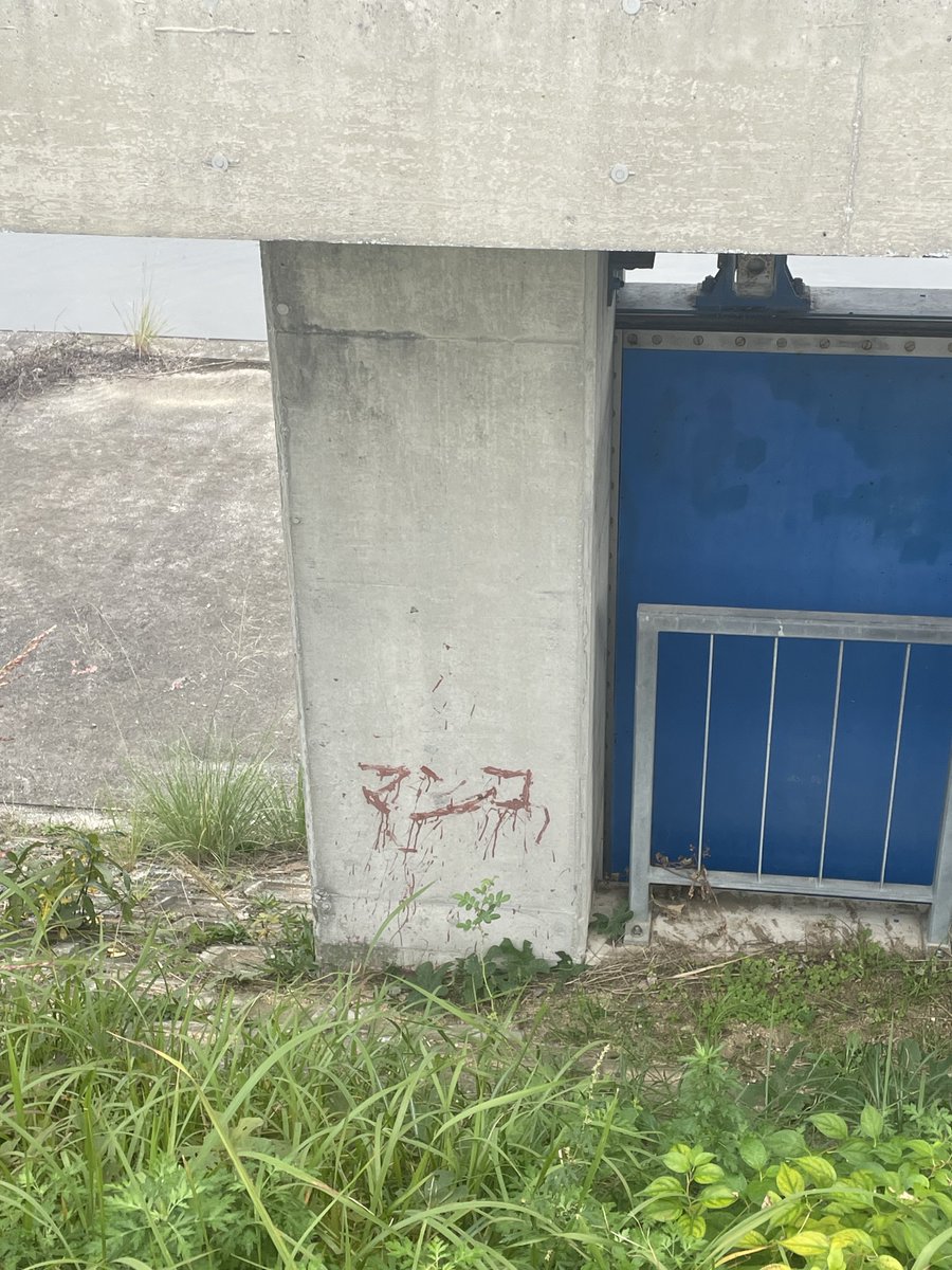 wakameudon1010's tweet image. @wakameudon_1010 

絡みたい人はここのアカウンコに114514