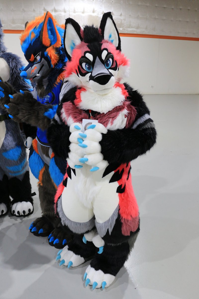 是政　KOREMASA tweet media