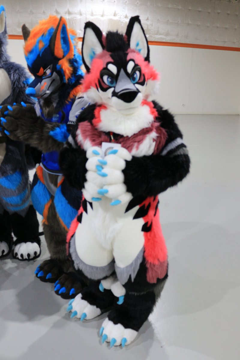 是政　KOREMASA tweet media