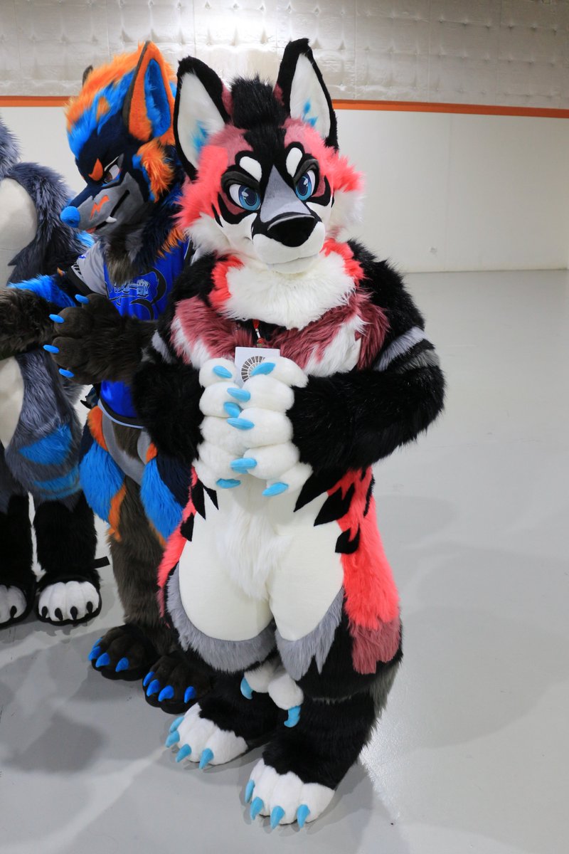 是政　KOREMASA tweet media