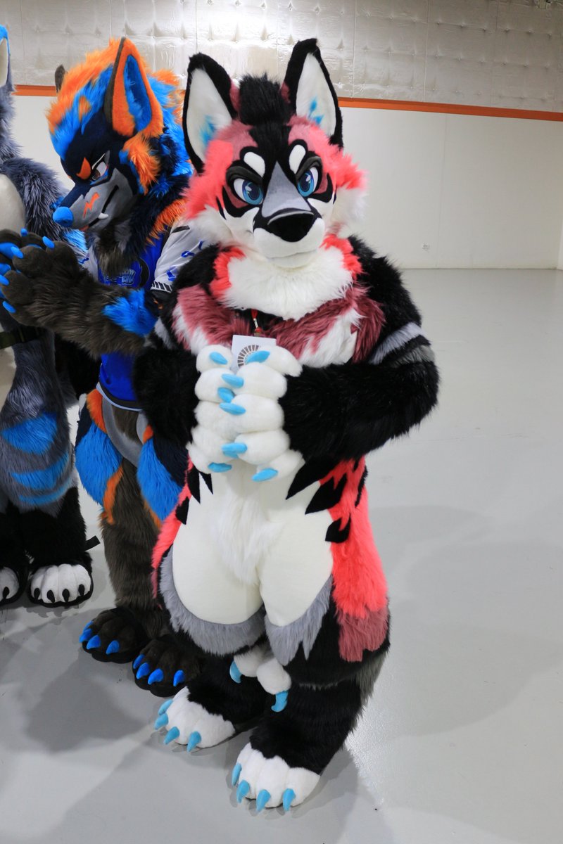 是政　KOREMASA tweet media