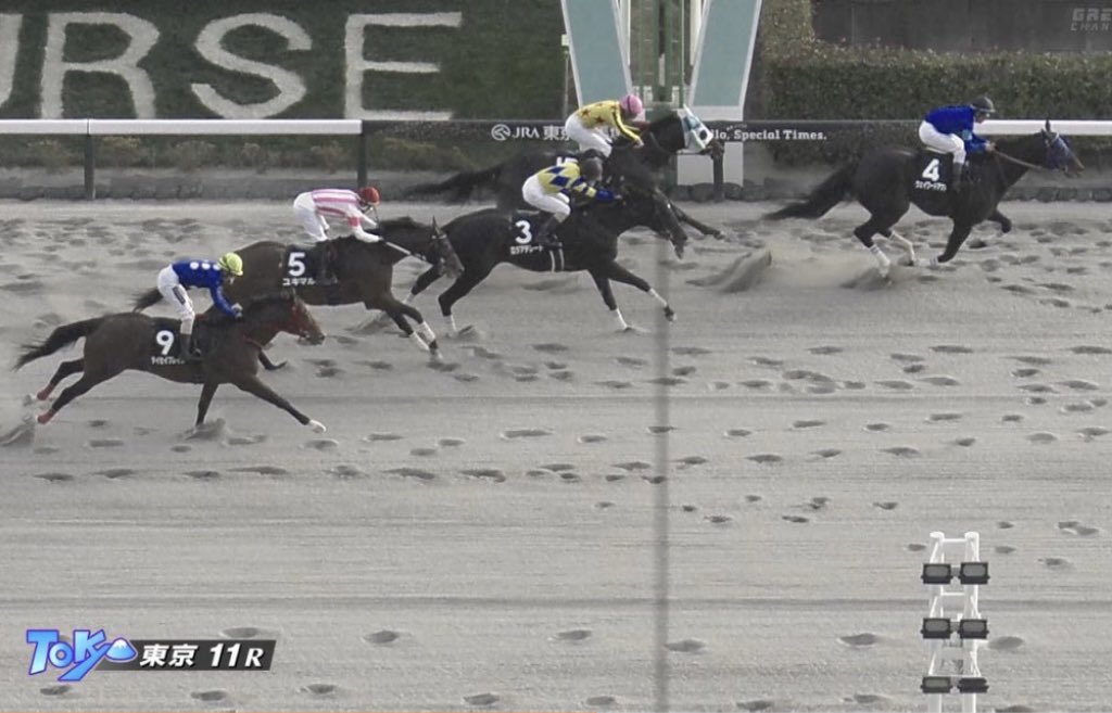 oumanobaketu's tweet image. 東京11R「霜月S」に出走したユキマルは4着。うーん、少し詰まったとこもありましたね。でも、オープンの多頭数で頑張ってる🥹