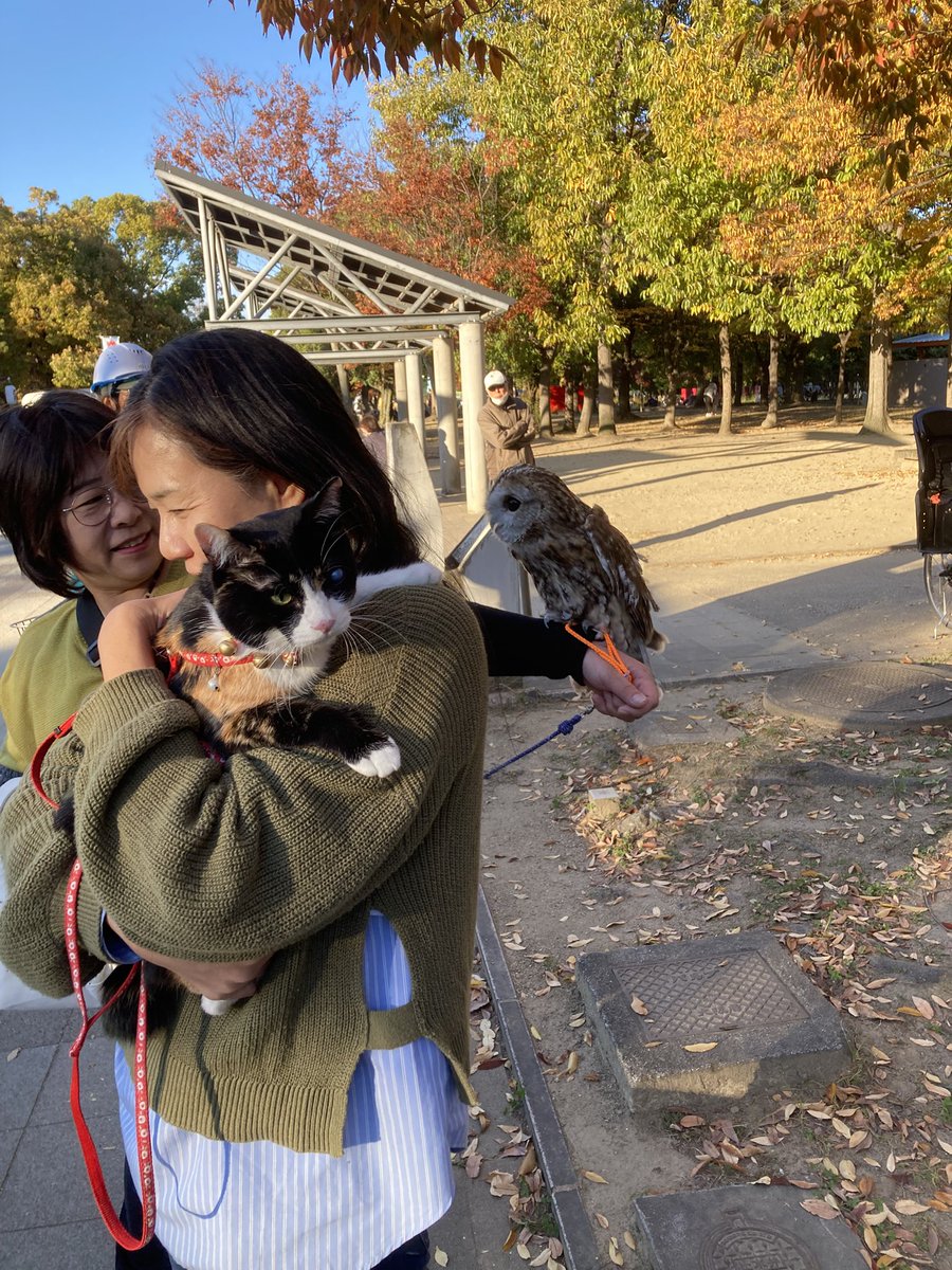 ぴーちゃんページ ぴーちゃん (@pychann1112) / Posts / X