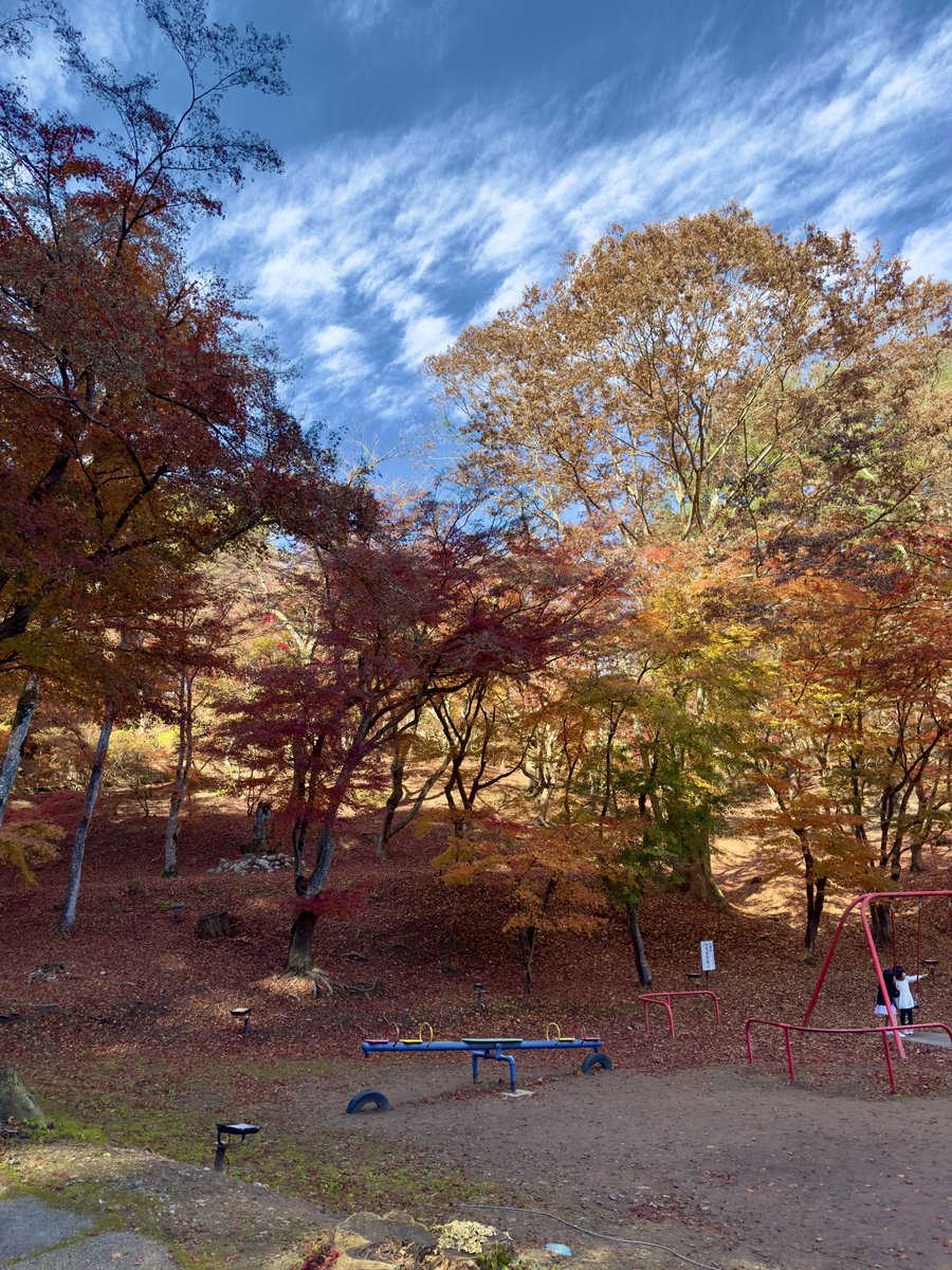 akisuke_katana's tweet image. 今日はいい天気だったので会社の人と三次の尾関山公園に紅葉🍁ツーリング🏍³₃行ってきました。

昼間はポカポカ陽気でツーリングにはとてもいい日でした😁

これより寒くなったらキツいかな〜

#尾関山公園
#三次
 #バイク好きと繋がりたい