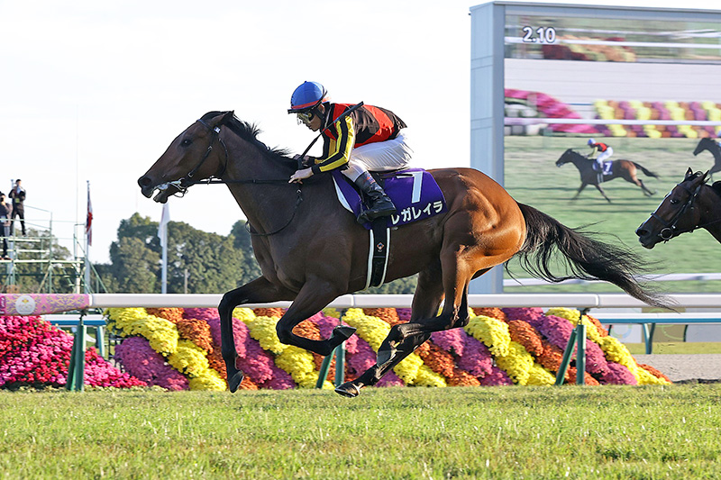 jimuin7035's tweet image. アメブロを更新しました。『3106 不安一掃､強さを発揮して女王の座へ～｢第50回エリザベス女王杯競走｣｡』
⇒ ameblo.jp/senohia7027/en… #アメブロ @ameba_officialより