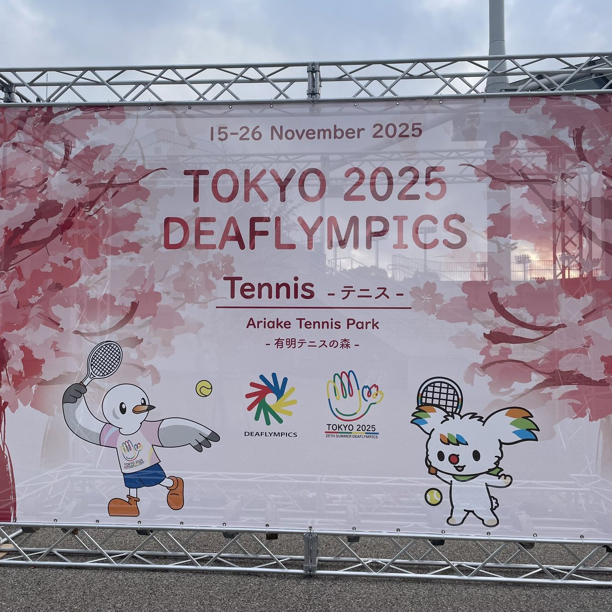 東京2025デフリンピック開催中。

明治神宮での農林水産祭表彰式と、皇居での新嘗祭の合間に、有明テニスの森に。

耳が不自由な場合のダブルスのコミュニケーションなど、想像力を働かせるとさらに見応えが。日本代表の親松選手とも会いました。

拍手も両手を振る！明日も開催中。皆様も観戦へぜひ。
