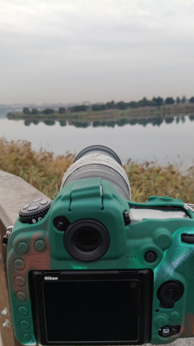 Hedefimiz bir kaç martı,
Bir kaç kızıl gerdan bol cigara dolu bir sabah
#günaydın