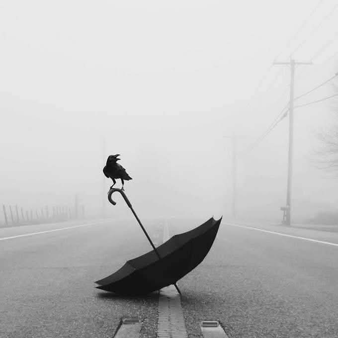 कुछ यादें अपने हिस्से के आंसू मांगने बार बार आती हैं..!!