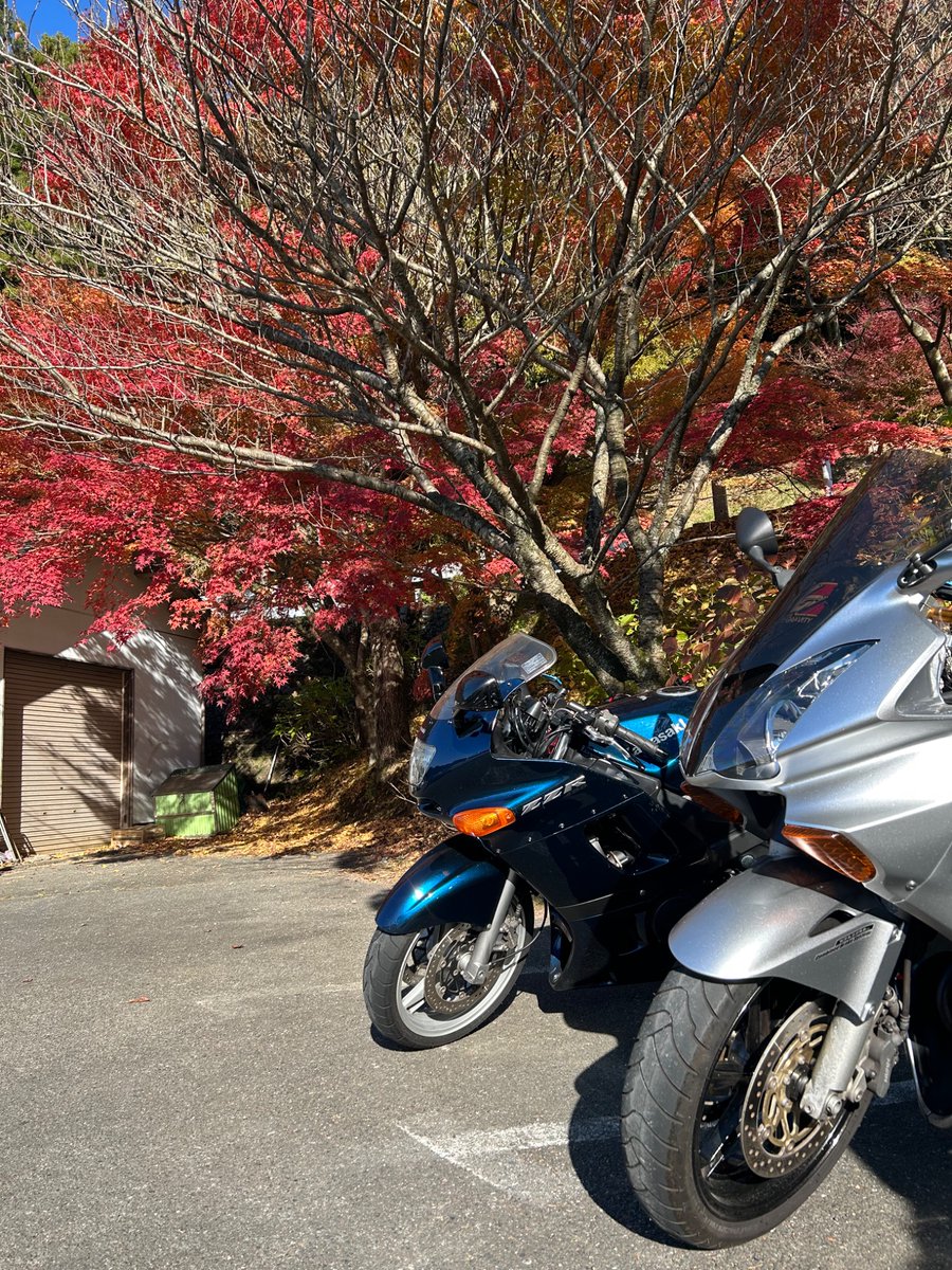 ReoRaira's tweet photo. 福岡紅葉狩り
篠栗呑山観音寺へ参拝
もうピークは過ぎていましたが、まだまだ綺麗でした‼️
本堂の下の出店の甘栗屋さんが閉店していたのが寂しかったです‥。上のお店でよもぎもちを購入し帰宅しますー本日YAEH返し&amp;YAEHしていただきありがとうございました。ご安全に✩︎ https://t.co/q2dfnXJL4q