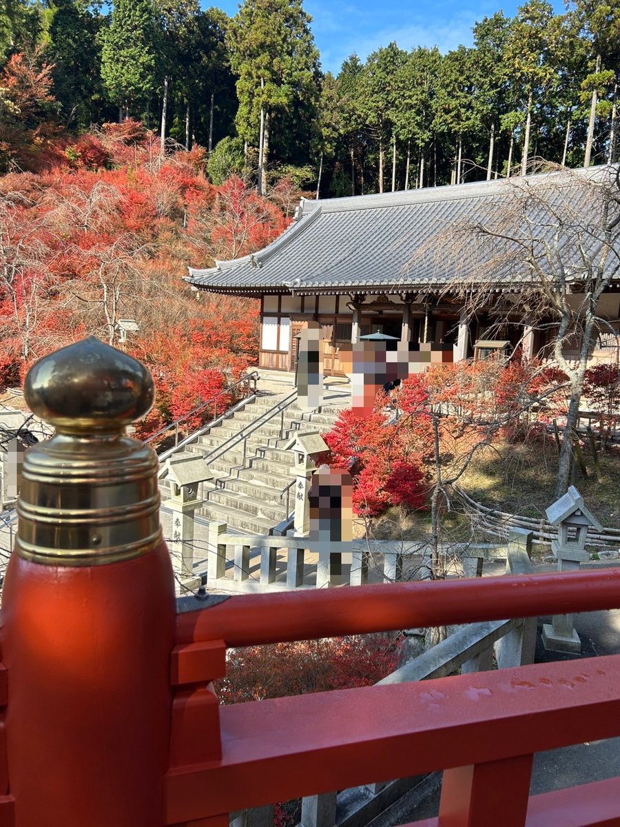 ReoRaira's tweet photo. 福岡紅葉狩り
篠栗呑山観音寺へ参拝
もうピークは過ぎていましたが、まだまだ綺麗でした‼️
本堂の下の出店の甘栗屋さんが閉店していたのが寂しかったです‥。上のお店でよもぎもちを購入し帰宅しますー本日YAEH返し&amp;YAEHしていただきありがとうございました。ご安全に✩︎ https://t.co/q2dfnXJL4q