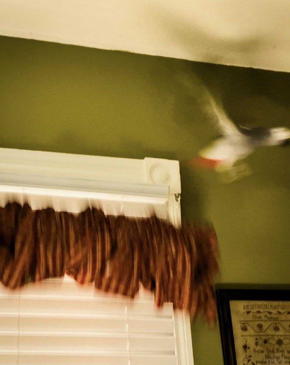 DrLectersMask's tweet image. See you around.👋🏻