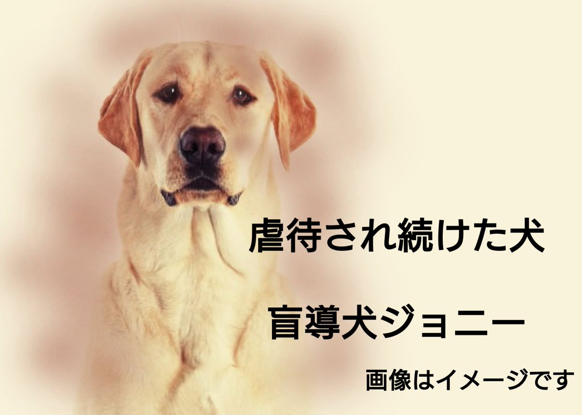 おんニャンコ tweet media