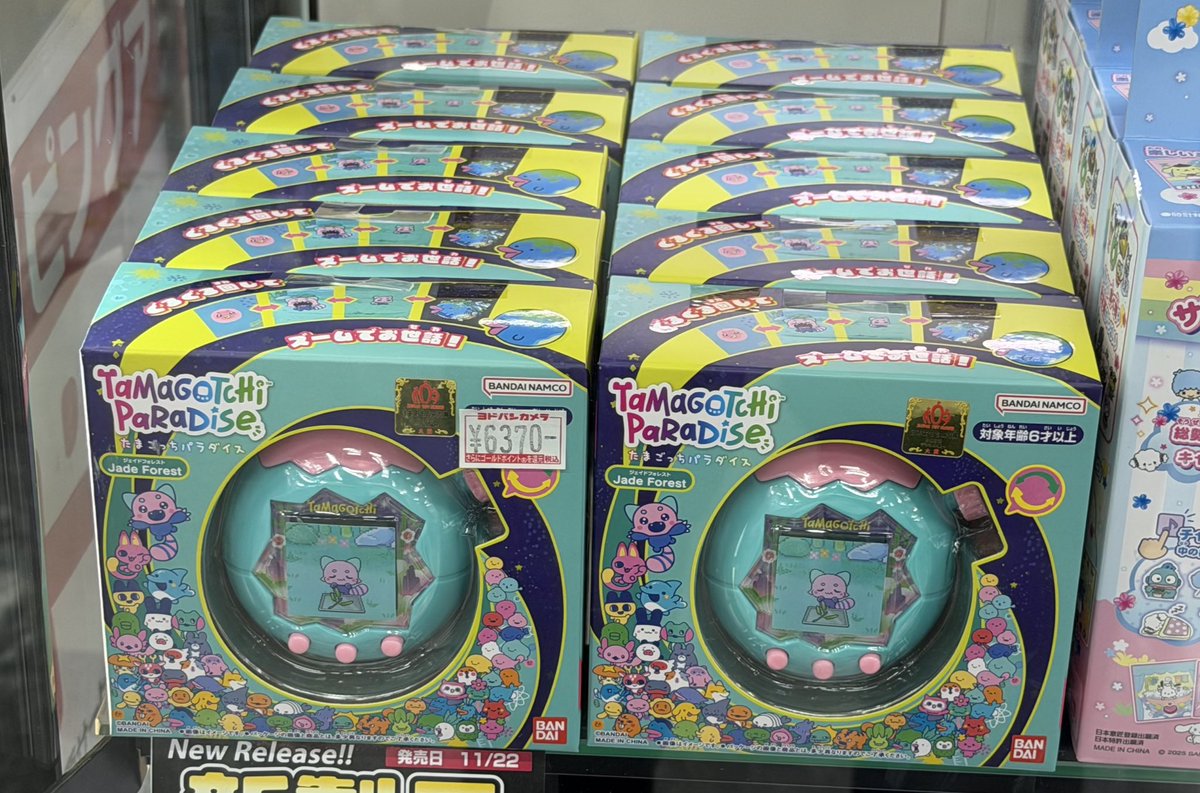 チビCORO犬🌺:) (@hana624210) / Posts / X