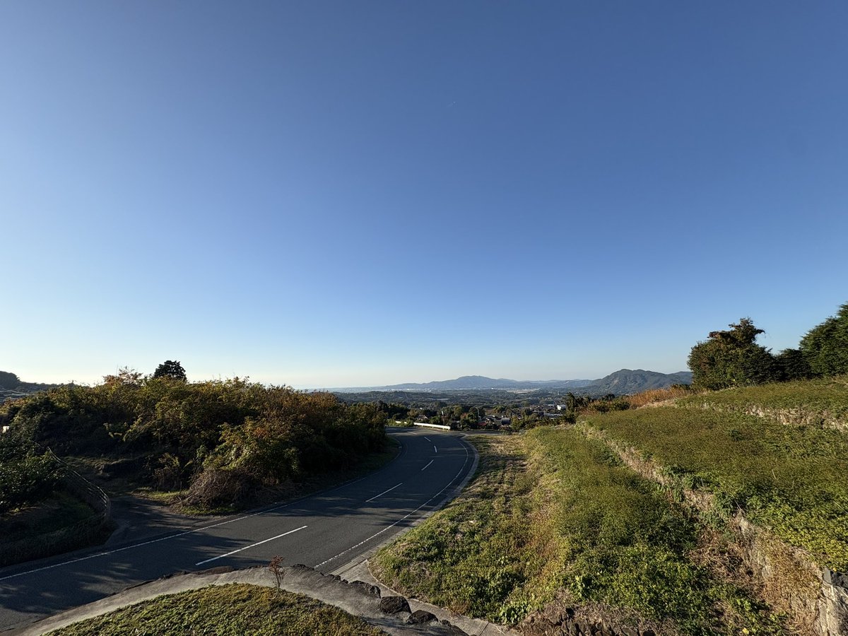 うーん。良い天気だ。