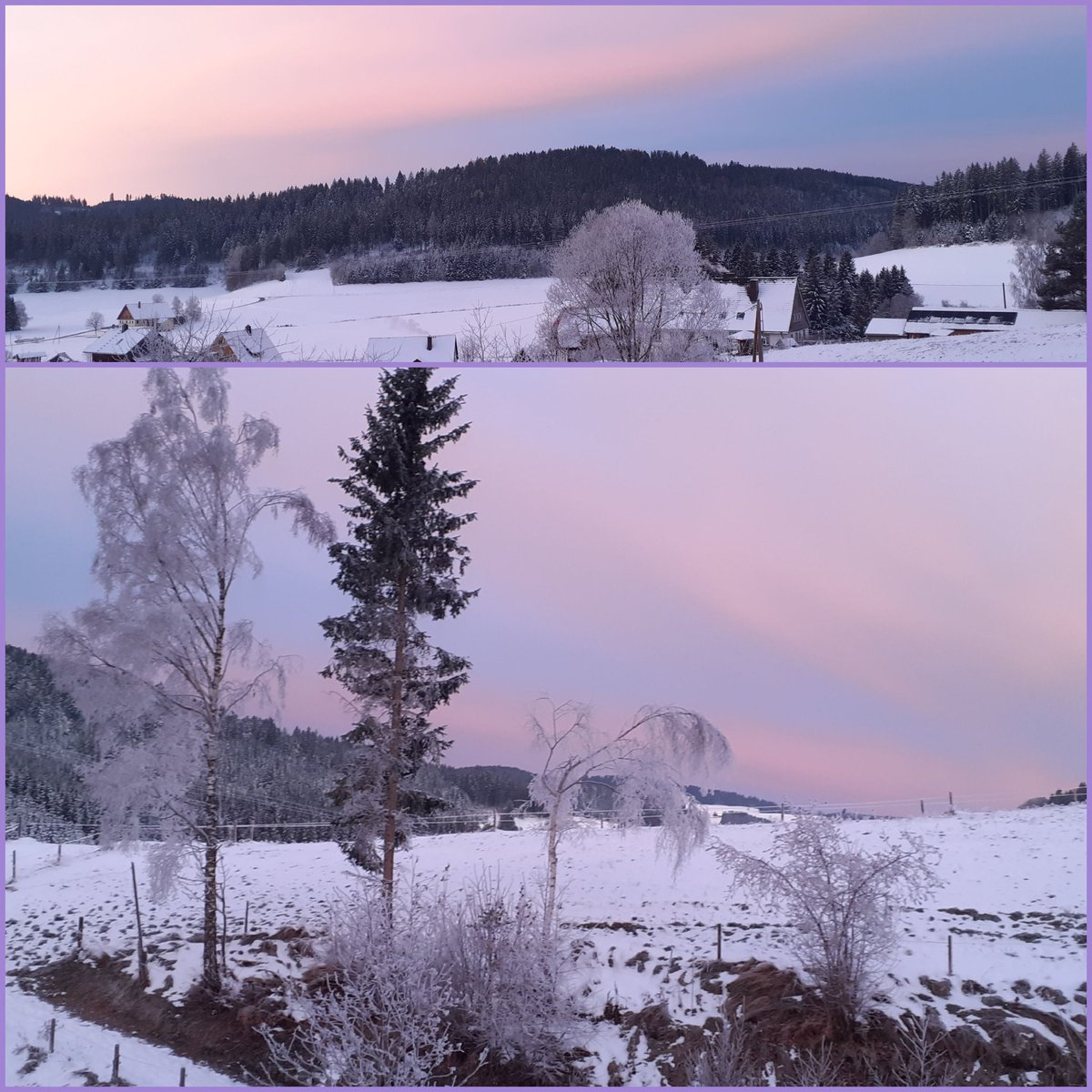 frauhasenklee's tweet image. Heute früh minus 15 Grad. Im Stall auch sehr kalt. Eine der Wasserleitungen am Kälbertränke-Anrichteplatz war eingefroren. Gestern Fehlermeldung am #Melkroboter, heute am #Saugroboter. Glücklicherweise schnell behebbar.
Jetzt mit Wärmflasche im Bett.
#winterishere 🥶☃️