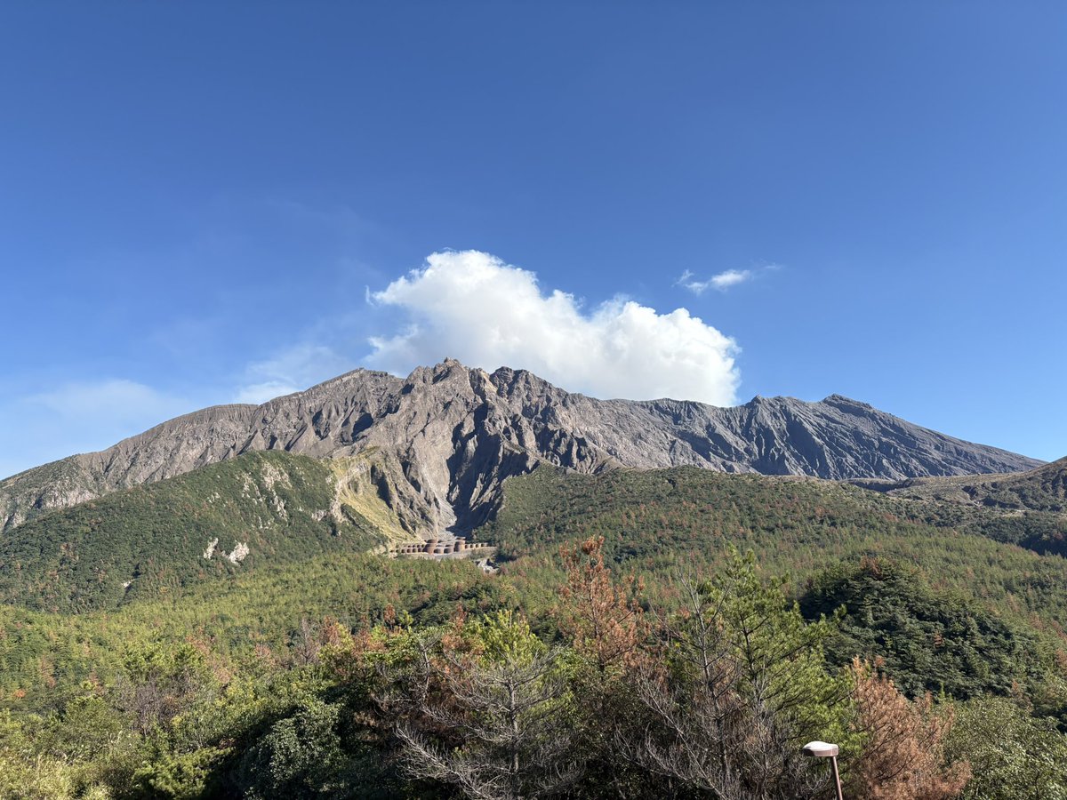 baldiris52's tweet photo. ダメ元で道の駅 桜島 火の島めぐみ館に行くと、桜島物産館は団体客予約があった際のみ開くとの情報あり(基本開かないとの事)

今日は8:30から開いていたとの事で連絡してみると、湯之平展望所でも売っているとの事(売店9:00～17:00)

本州・九州最後の1枚(224)(σ・∀・)σｹﾞｯﾂ!!

#国道ステッカー https://t.co/WpDLuQ4PKG