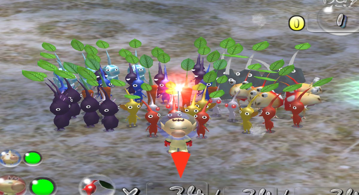 PuffHacker's tweet image. Red, Yellow, Blue, Purple, White, Bulbmin, Rocks, Ice, Puffmin, and Pikpik Carrots cuz why not!