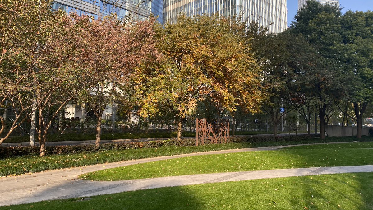 Yaracoding's tweet image. IN LOVE with the streets 😭🤍🤍