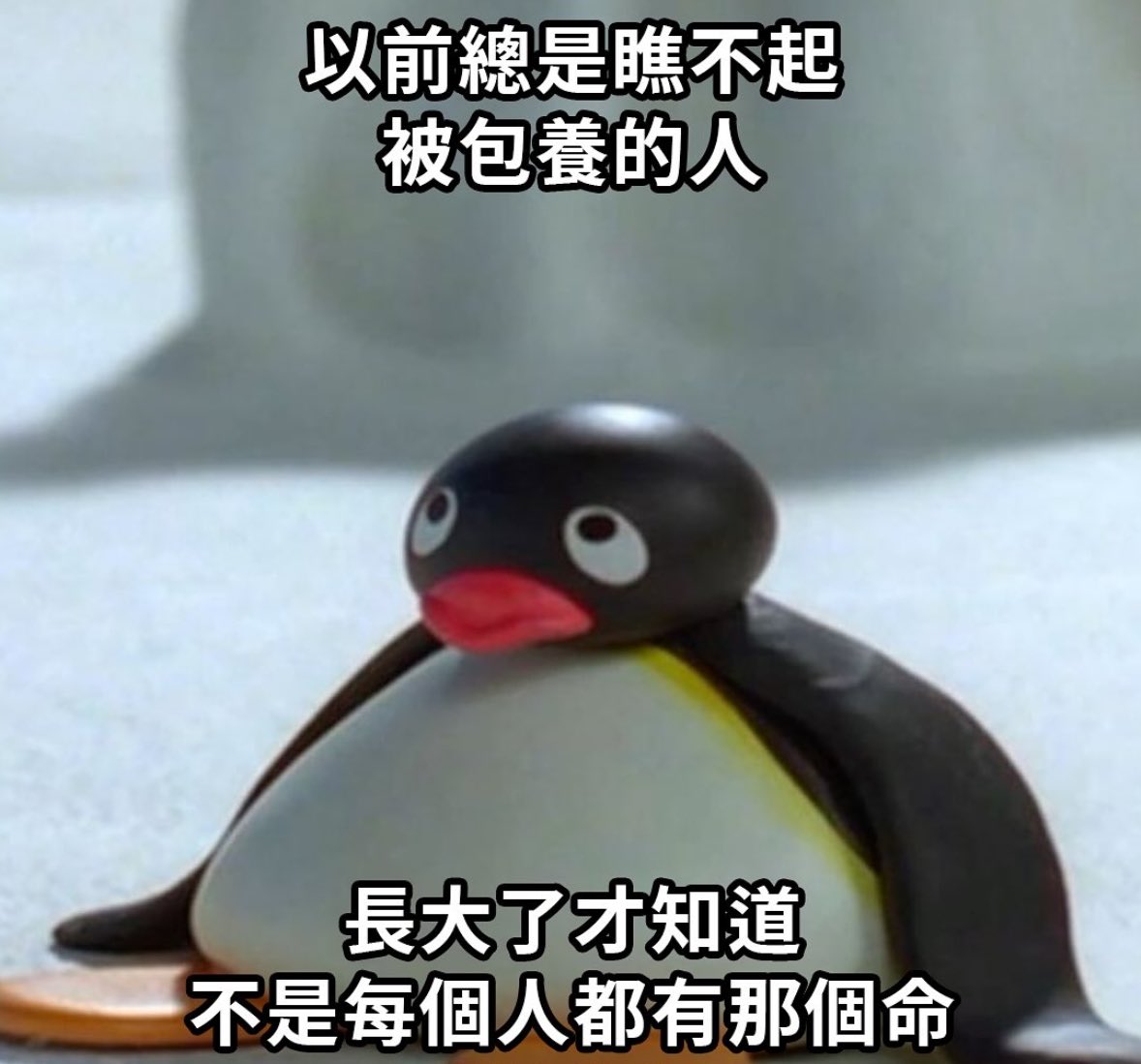 yummmycrypotato's tweet image. 對不起