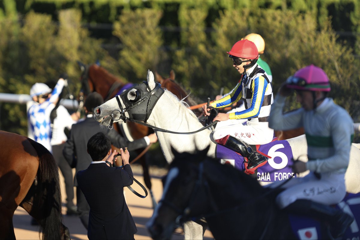 ガイアフォースたけしくん2着
よく頑張った！！！