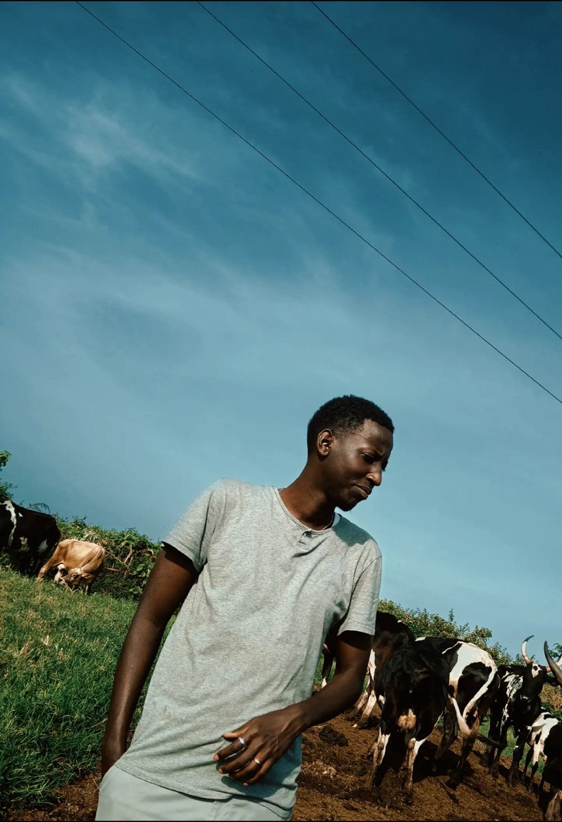 🌴🦒 tweet media