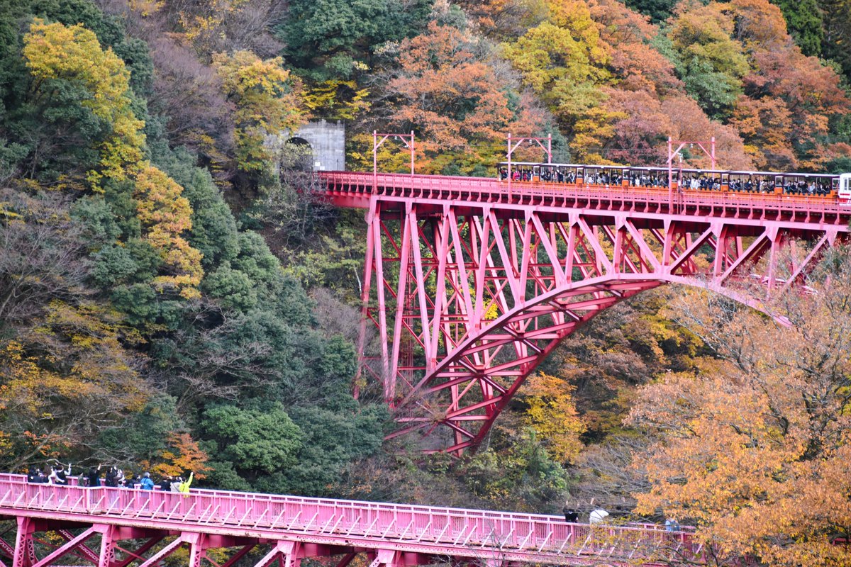 Kurobe_Unazuki's tweet image. 山彦橋では手を振りあうのがお約束ですﾉｼ
＃紅葉 ＃黒部峡谷 ＃トロッコ電車