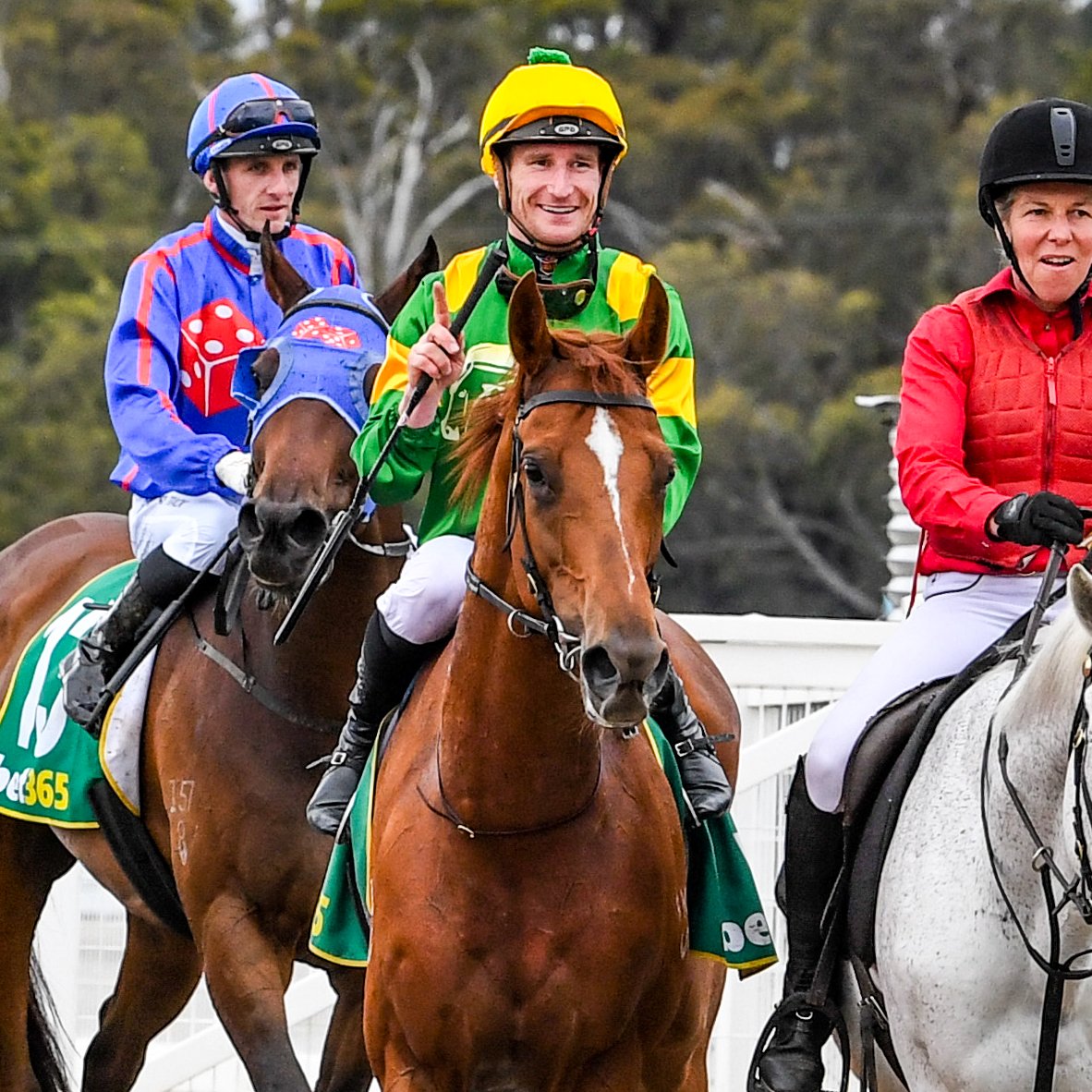 RacingVictoria's tweet photo. Dan Stackhouse combines with John McArdle to take out the Kilmore Cup 🏆 https://t.co/fMsa3pjmTp
