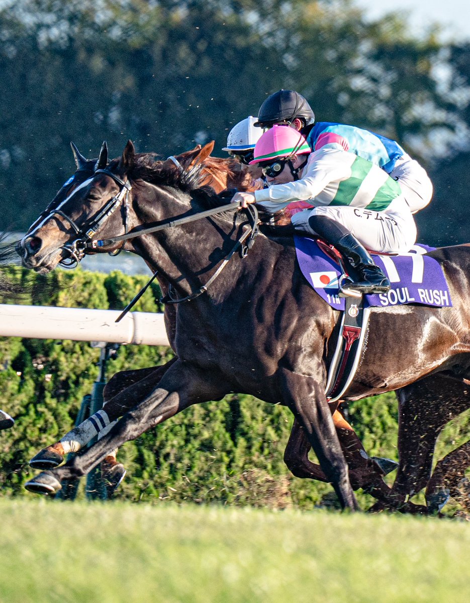 T.A☆🏍️🥷🏇🐎🏌️ (@pocketrider0417) / Posts / X