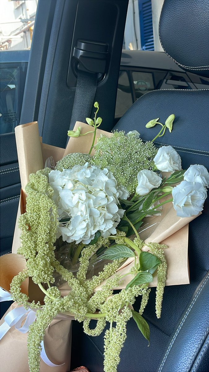 today’s passenger princess