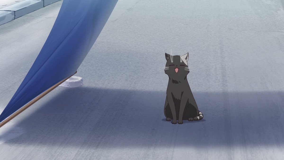 猫（CV ？？） 第6話 #アニメ吸血鬼ちゃん #ちゃんと吸えない吸血鬼