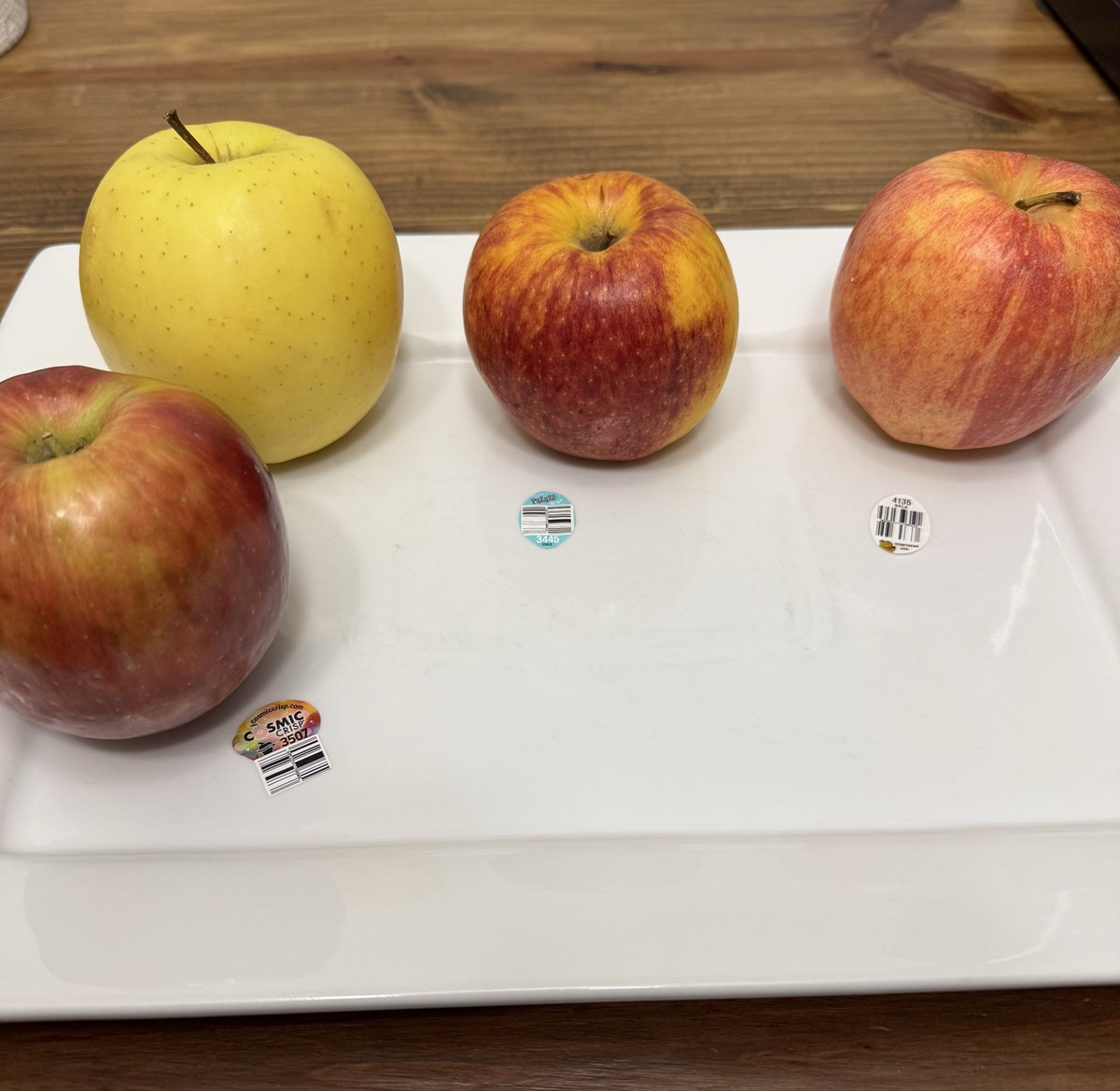 The final taste tests:

Cosmic: crisp and tangy, just below Granny Smith.  Pie material.

Golden Delicious: very soft &amp; sweet. Reminds me of applesauce. Cook &amp; add cinnamon for snack.

Pizazz: different flavor &amp; texture. Very crisp. Least fav.

Gala: soft &amp; sweet. Nice.