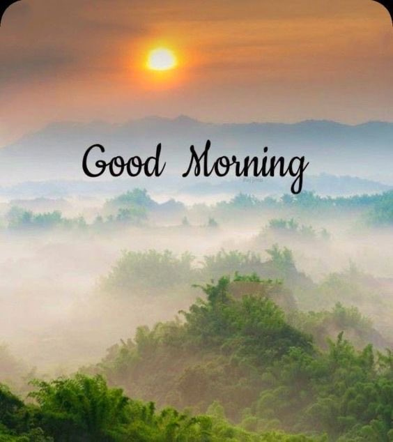 Good morning x family 💌

Have a great Sunday 🙌🏻