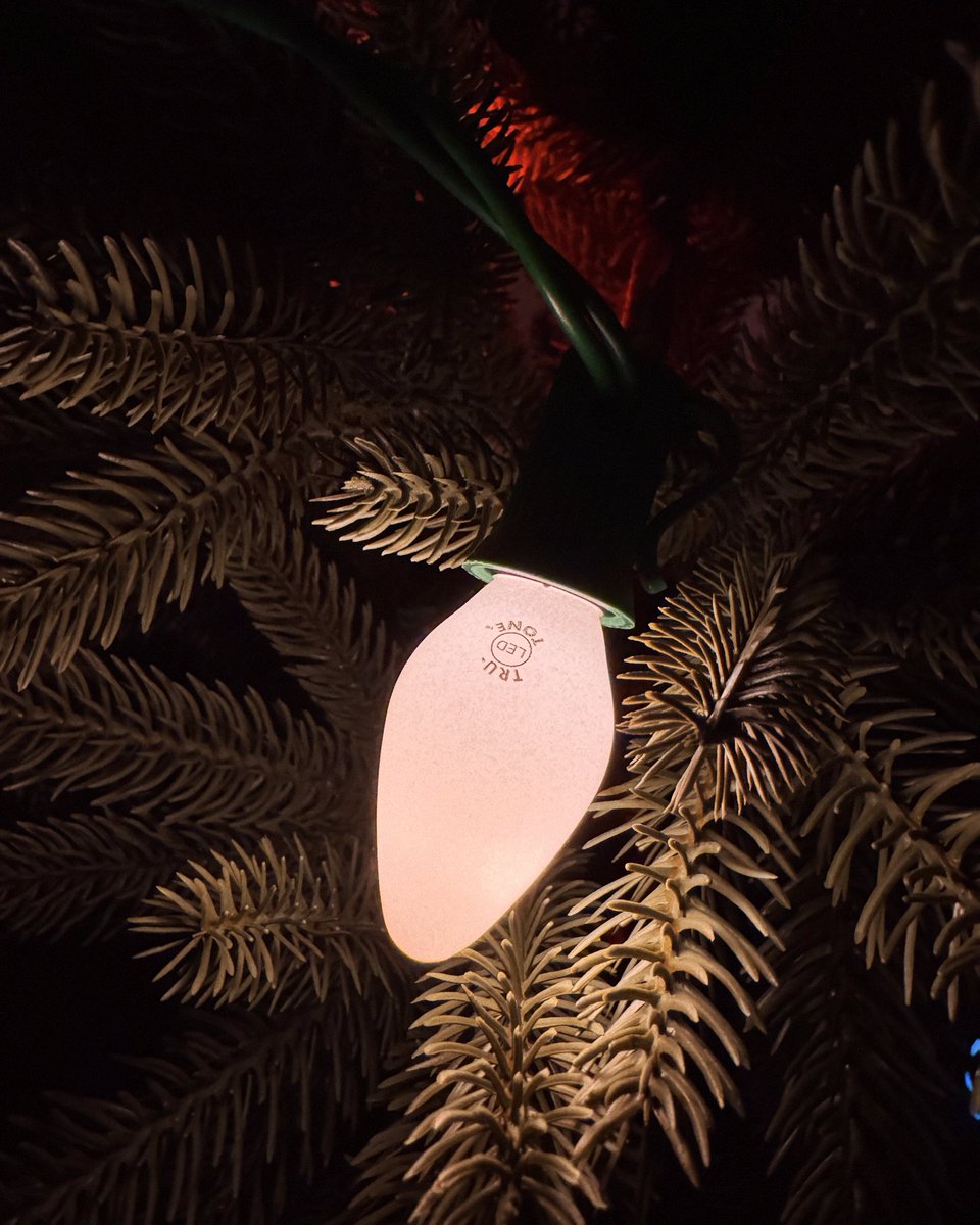 graceongrid's tweet image. Our first tree.