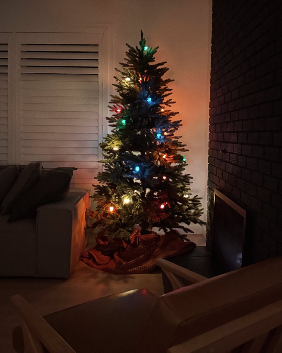 graceongrid's tweet image. Our first tree.
