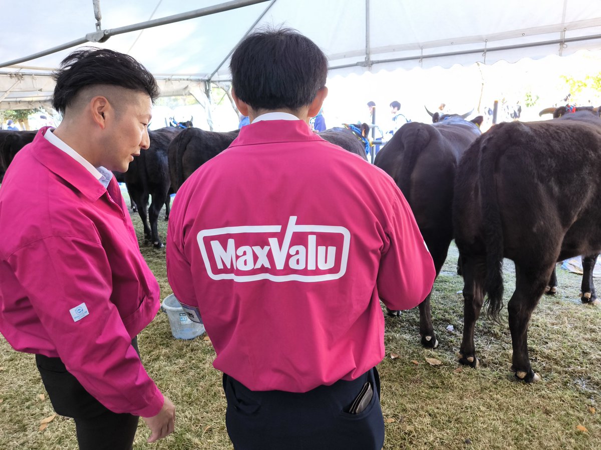 tokai_maxvalu's tweet image. 13時からセリ市です！
只今、バイヤーさんは最終確認中🧐

牛を見る目にも力が入ります…🔥

#共進会
#松阪市
#三重県
#マックスバリュ東海