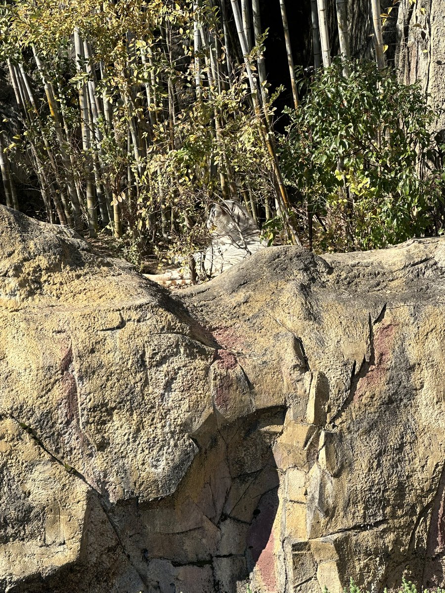 ぜーはー、ぜーはー