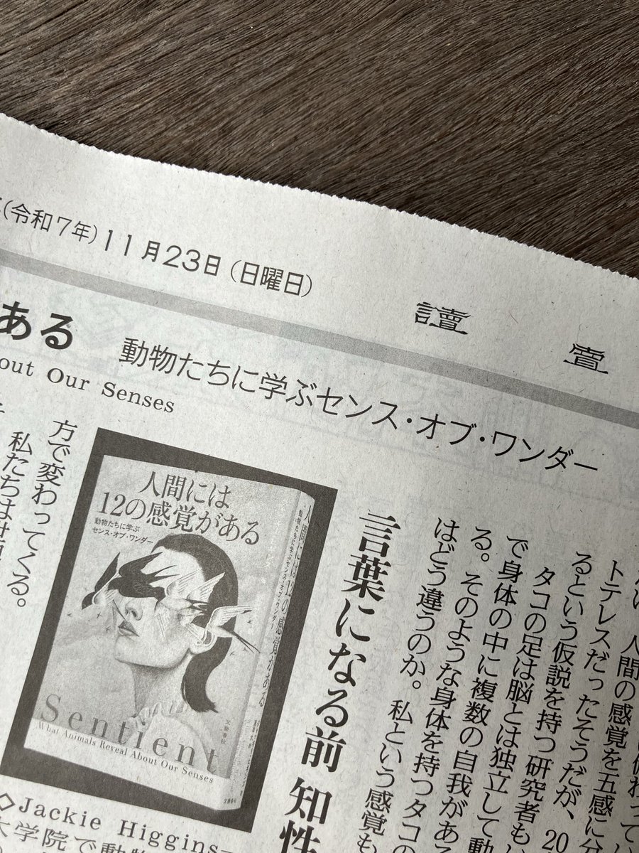 『人間には12の感覚がある』今朝の読売新聞書評で為末大さん<a href="/daijapan/">中津川市卓球連盟（成瀬貴洋）親子間の受発注</a> に紹介いただきました。「AIが広がるにつれ、身体性について語られることが増えたのは、感覚の世界こそが人間にとって重要だからではないか」。LLMの学習対象外である感覚の世界。言及くださりうれしいです...！