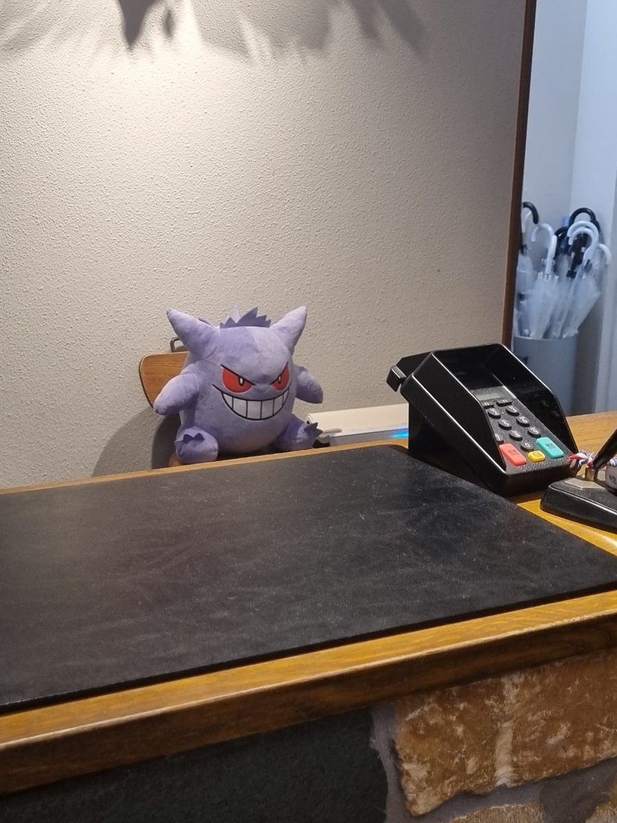 Landed in Japan last night. This lil guy met me at the hotel reception. Seems like a trustworthy guy 🤭