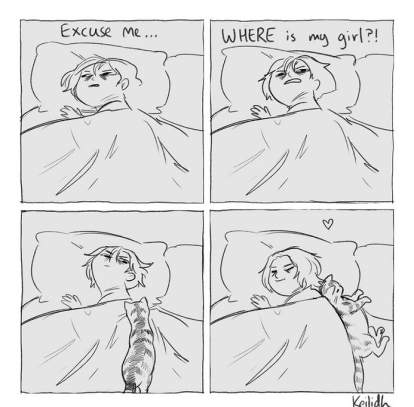 catshealdeprsn's tweet image. 